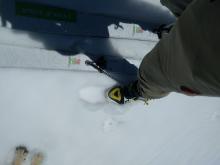 Wet snow depth at 11:30 am on a S-SE aspect at 9000 ft.