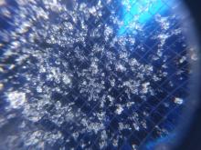 Near-surface facets from a north aspect at 9000 ft. that are starting to round. 