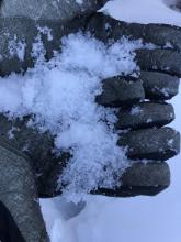 Faceted snowpack on Donner Peak