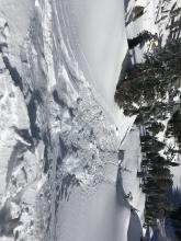 Cornice drop results