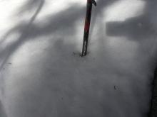 Snow under tree cover was wet and unsupportive by 8:30am.