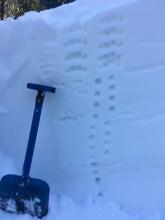 North facing slopes around 9000 feet were "right side up" down a meter.