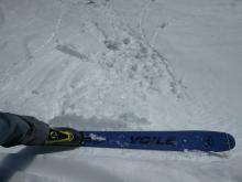 Small roller balls on test slope.  E aspect at 11:45am.