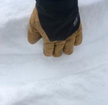 Below treeline around 5 inches of soft near surface facets provided fun skiing.