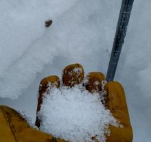 facets below crust at 70cm depth