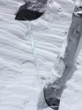 Lots of wind slab evidence in the area.