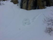 Roughly two foot diameter roller ball from previous days warming on South East aspect.