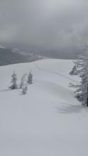 6 inches of storm snow available for wind transport in above treeline areas. Dark line is our skin track.