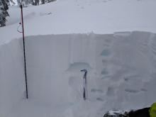 Snowpit on N aspect at treeline to examine rain crust