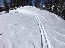 Plenty of snow available for transport along ridgeline.