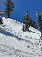 Loose wet sluff triggered by a ski cut on a steep ENE aspect at 9000 ft.