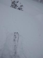 20' skier triggered shooting crack in near treeline terrain, ENE aspect.