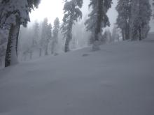 Fog conditions below 7,700'.