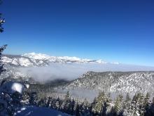 Above the inversion. 