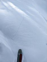 Shooting cracks triggered by a ski cut on a near treeline wind-loaded test slope. This slab failed on buried surface hoar.