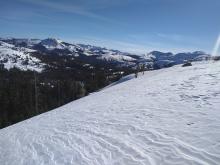 Newly formed pencil hard wind slabs at treeline.