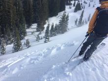 Skier triggered reactive windslabs along Wildflower Ridge.