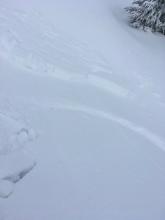 Looking down this small test slope at the bed surface, stauch wall, and debris. 