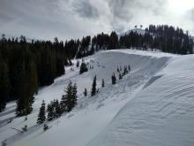 Multiple natural wind slab avalanches on Wildflower Ridge, 7800', NE aspect.