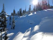 What looked like an old avalanche crown on a steep low elevation slope.