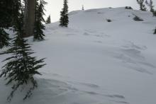 Looking up towards the start zone.