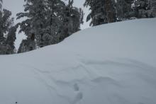 Widespread sastrugi in top 200-300 feet of elevation above and below tree line.