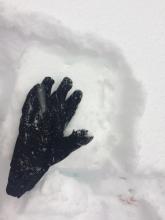 ECTN4 at 6cm down in the new snow. 