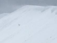 East bowl of Mt. Judah with active wind loading.  Small natural wind slab avalanche in upper middle of photo.