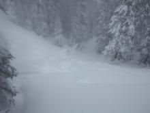 Skier's left side of crown and debris.