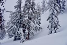 Larger storm slab (appeared to be natural) slide propagated around terrain feature and into adjacent bowl.  