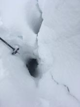 Impressively deep tree well.