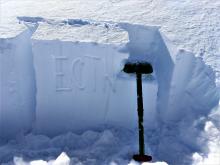 ECTN on a previously wind-loaded NE facing test slope.