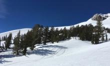 A few shaded gullies held more wintry snow.