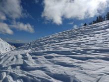 NW aspect near treeline terrain scoured by recent SW winds.