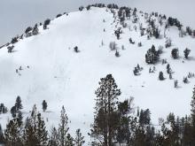 Loose wet avalanche activity on Fireplug.