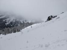 Large pinwheels on a SE facing slope at 8300 ft.