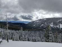 Snowline was about 6800 ft. You can see snow in the trees above that elevation.