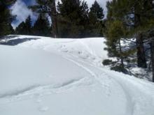 Weak wet snow that failed with a ski turn on lower angle terrain.