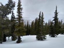 Increase to 100% cloud cover and snow/rain showers at 10:30 am.