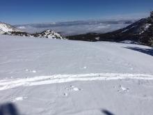 Plenty of soft snow available for transport along ridges if winds increase tomorrow.