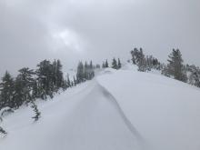 wind transport and building cornices