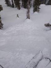 Small windslab on test slope