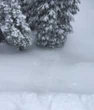 Impressive loose dry slides in response to ski kicks. 