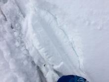 Isolated cracking in protected near treeline terrain down to previous surface crust.