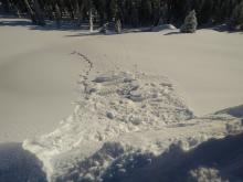 Fragile cornices  - Easy intentional collapses with minor entrainment.