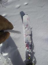 Thin rain crust under a half inch of new snow at 8,500'.