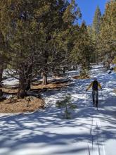 Coverage is getting thin below 7500 ft.