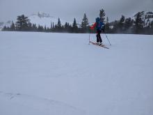Wind scouring on an exposed slope on Elephant's Hump.