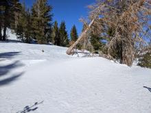 The largest drift of snow we saw today