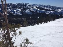 South facing terrain still firm at 12noon with no signs of softening.